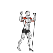 Band Shoulder Press animated exercise demonstration