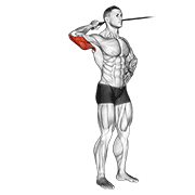 Band Side Triceps Extension animated exercise demonstration