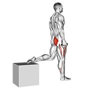 Band Single Leg Split Squat animated exercise demonstration