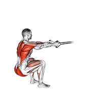 Band Squat Row animated exercise demonstration