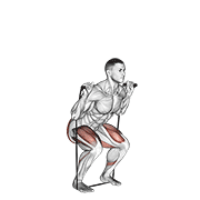 Band Squat animated exercise demonstration