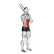 Band Standing Crunch animated exercise demonstration
