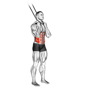 Band Standing Twisting Crunch animated exercise demonstration