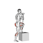 Band Step-Up animated exercise demonstration