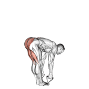 Band Straight Leg Deadlift animated exercise demonstration