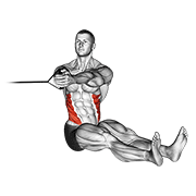 Band Seated Twist animated exercise demonstration