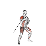Band Twisting Overhead Press animated exercise demonstration