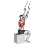 Band Underhand Pulldown animated exercise demonstration