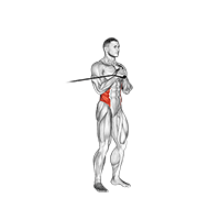 Band Vertical Pallof Press animated exercise demonstration