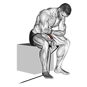Band Wrist Curl animated exercise demonstration