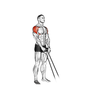Band Y-Raise animated exercise demonstration