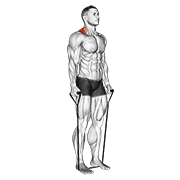Band Shrug animated exercise demonstration