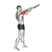 Band Standing Rear Delt Row animated exercise demonstration