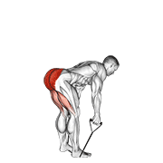 Band Straight Back Stiff Leg Deadlift animated exercise demonstration