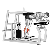 Lever Donkey Calf Raise animated exercise demonstration