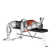 Band Bench Press animated exercise demonstration