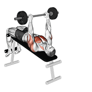 Barbell Decline Pullover animated exercise demonstration