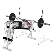 Barbell Reverse Grip Decline Bench Press animated exercise demonstration