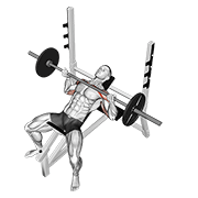 Barbell Reverse Grip Incline Bench Press animated exercise demonstration