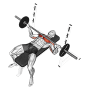 Barbell Wide Reverse Grip Bench Press animated exercise demonstration
