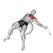Cable One Arm Fly On Exercise Ball animated exercise demonstration