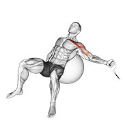 Cable One Arm Incline Fly On Exercise Ball animated exercise demonstration