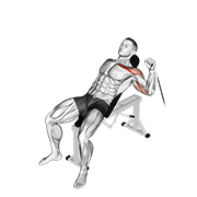 Cable One Arm Incline Press animated exercise demonstration