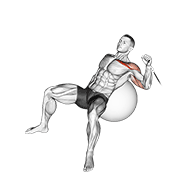 Cable One Arm Incline Press On Exercise Ball animated exercise demonstration