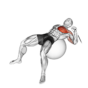 Cable One Arm Press On Exercise Ball animated exercise demonstration