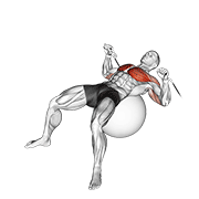 Cable Press On Exercise Ball animated exercise demonstration