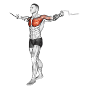 Cable Standing Up Straight Crossovers animated exercise demonstration