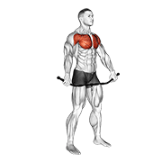 Chest And Front Of Shoulder Stretch animated exercise demonstration