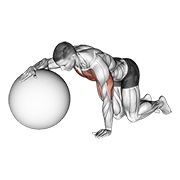 Chest Stretch With Exercise Ball animated exercise demonstration