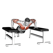 Drop Push Up animated exercise demonstration