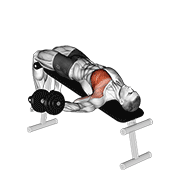 Dumbbell Decline One Arm Fly animated exercise demonstration