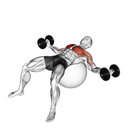 Dumbbell Fly On Exercise Ball animated exercise demonstration