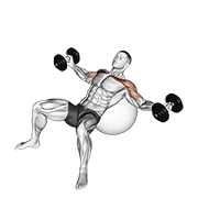 Dumbbell Incline Fly On Exercise Ball animated exercise demonstration