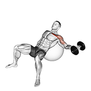 Dumbbell Incline One Arm Fly On Exercise Ball animated exercise demonstration