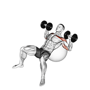 Dumbbell Incline Press On Exercise Ball animated exercise demonstration