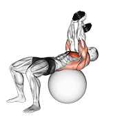 Dumbbell Lying Pullover On Exercise Ball animated exercise demonstration
