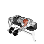 Dumbbell One Arm Bench Fly animated exercise demonstration