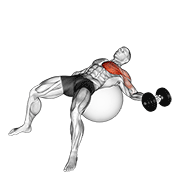 Dumbbell One Arm Chest Fly On Exercise Ball animated exercise demonstration
