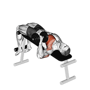 Dumbbell One Arm Decline Chest Press animated exercise demonstration