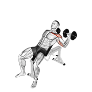 Dumbbell One Arm Incline Chest Press animated exercise demonstration