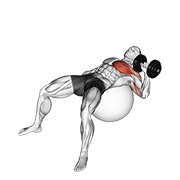 Dumbbell One Arm Press On Exercise Ball animated exercise demonstration