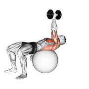 Dumbbell One Arm Pullover On Exercise Ball animated exercise demonstration