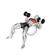 Dumbbell Press On Exercise Ball animated exercise demonstration
