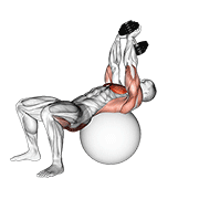 Dumbbell Pullover Hip Extension On Exercise Ball animated exercise demonstration