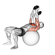 Dumbbell Pullover On Exercise Ball animated exercise demonstration