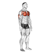 Isometric Chest Squeeze animated exercise demonstration